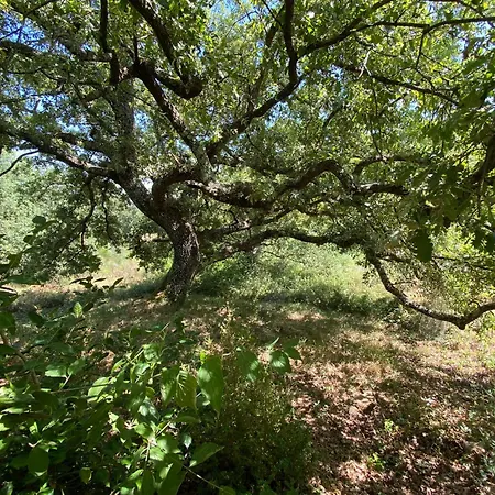 Casale In Maremma Podere Marino Scansano