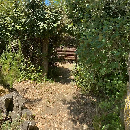 Casale In Maremma Podere Marino Σπίτι διακοπών Scansano