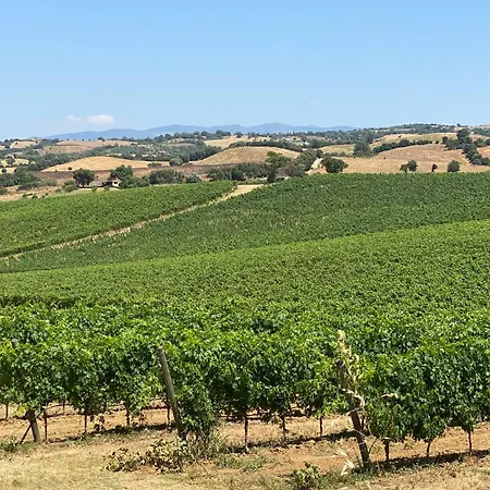 Σπίτι διακοπών Casale In Maremma Podere Marino *